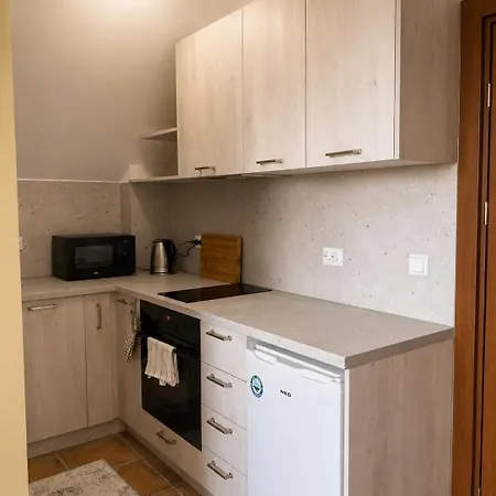 Fresh With Mountain View, Close To Gondola Bansko